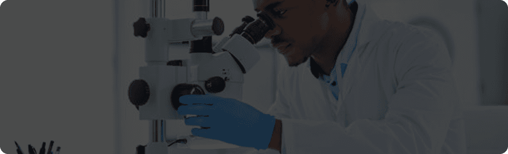 Educación de alto nivel